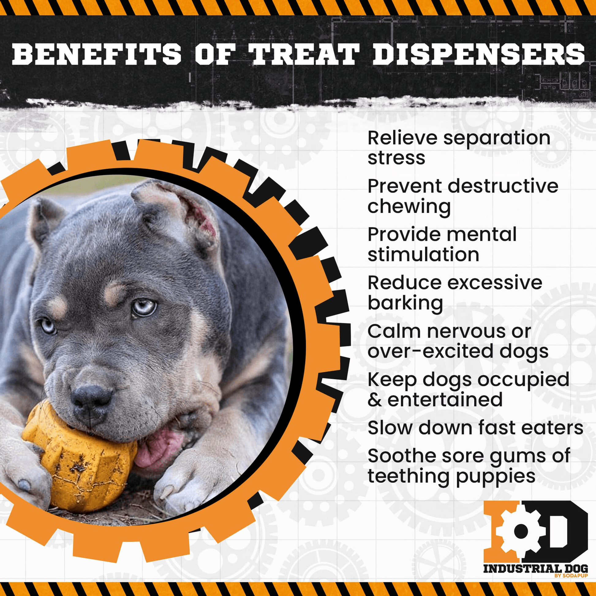 Durable Rubber Chew Toy and Treat Holder for Dogs-4