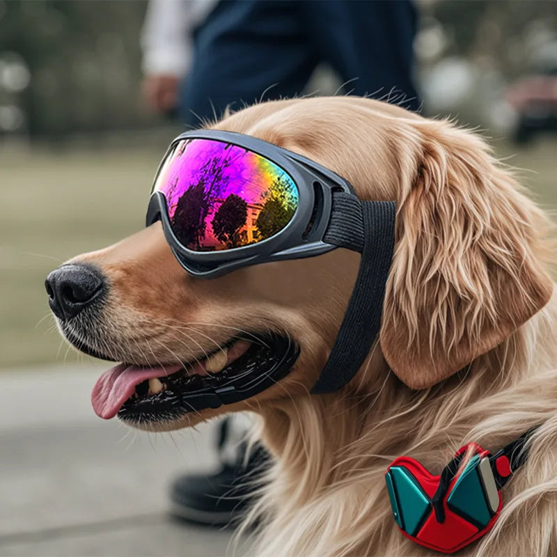 Pet Adjustable Dog Goggles Sunglasses Anti-UV Sun Glasses Eye Wear