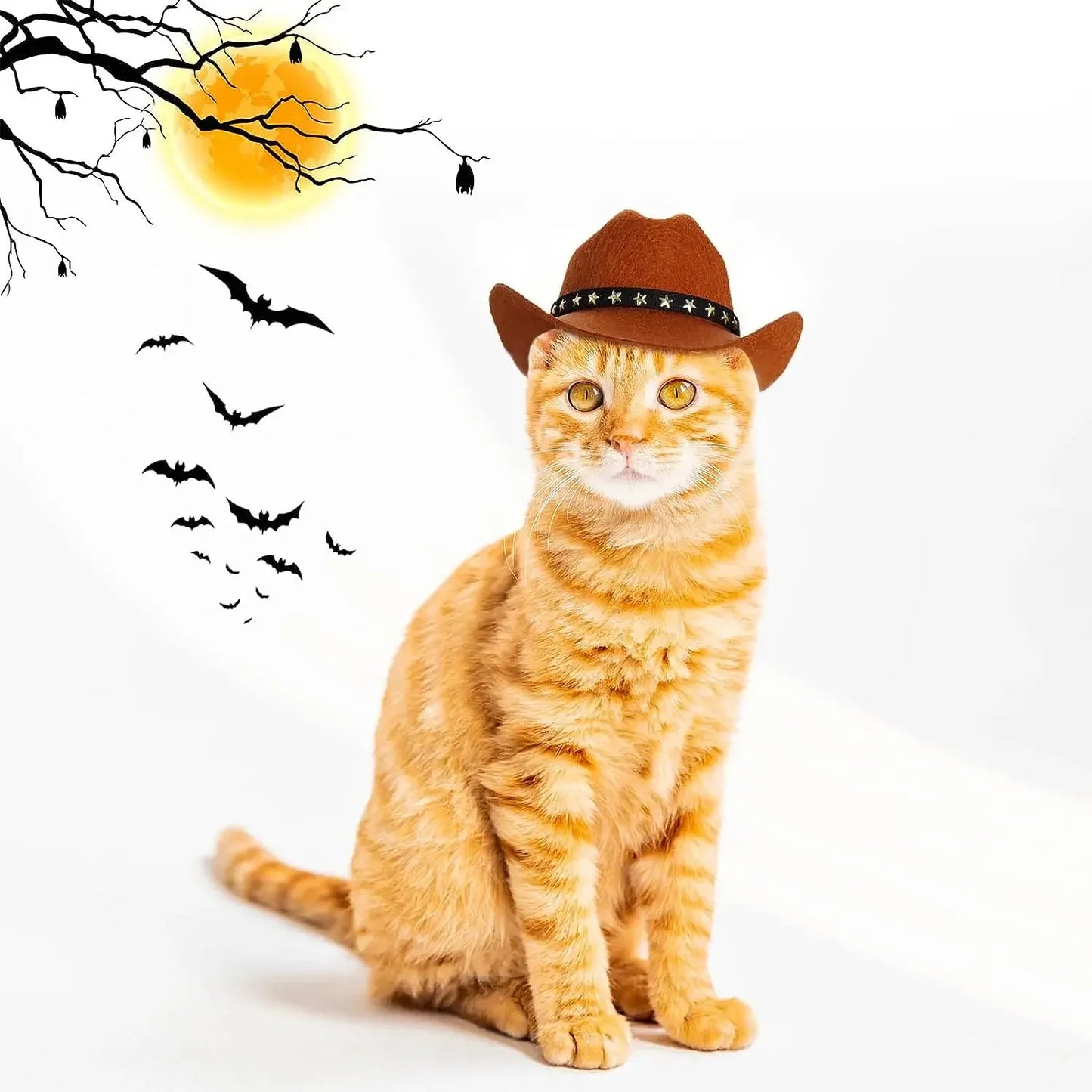Pet Dog Hat Star Cowboy Hat Pet Supplies Adjustable Dog Costume Top