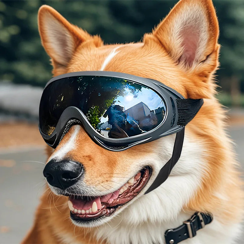 Pet Adjustable Dog Goggles Sunglasses Anti-UV Sun Glasses Eye Wear