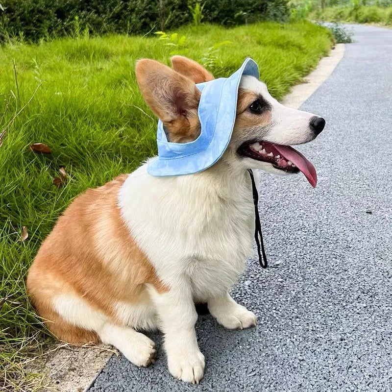 Pets Hat with Ear Holes Adjustable Baseball for Medium Small Dogs