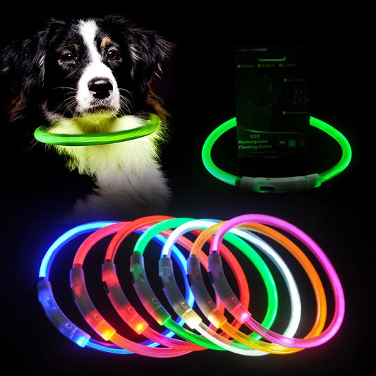 Led Usb Dog Collar Pet Dog Night Luminous Charge Collar Led Night